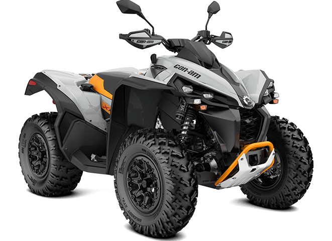 Can-Am DS 250 ángulo 1