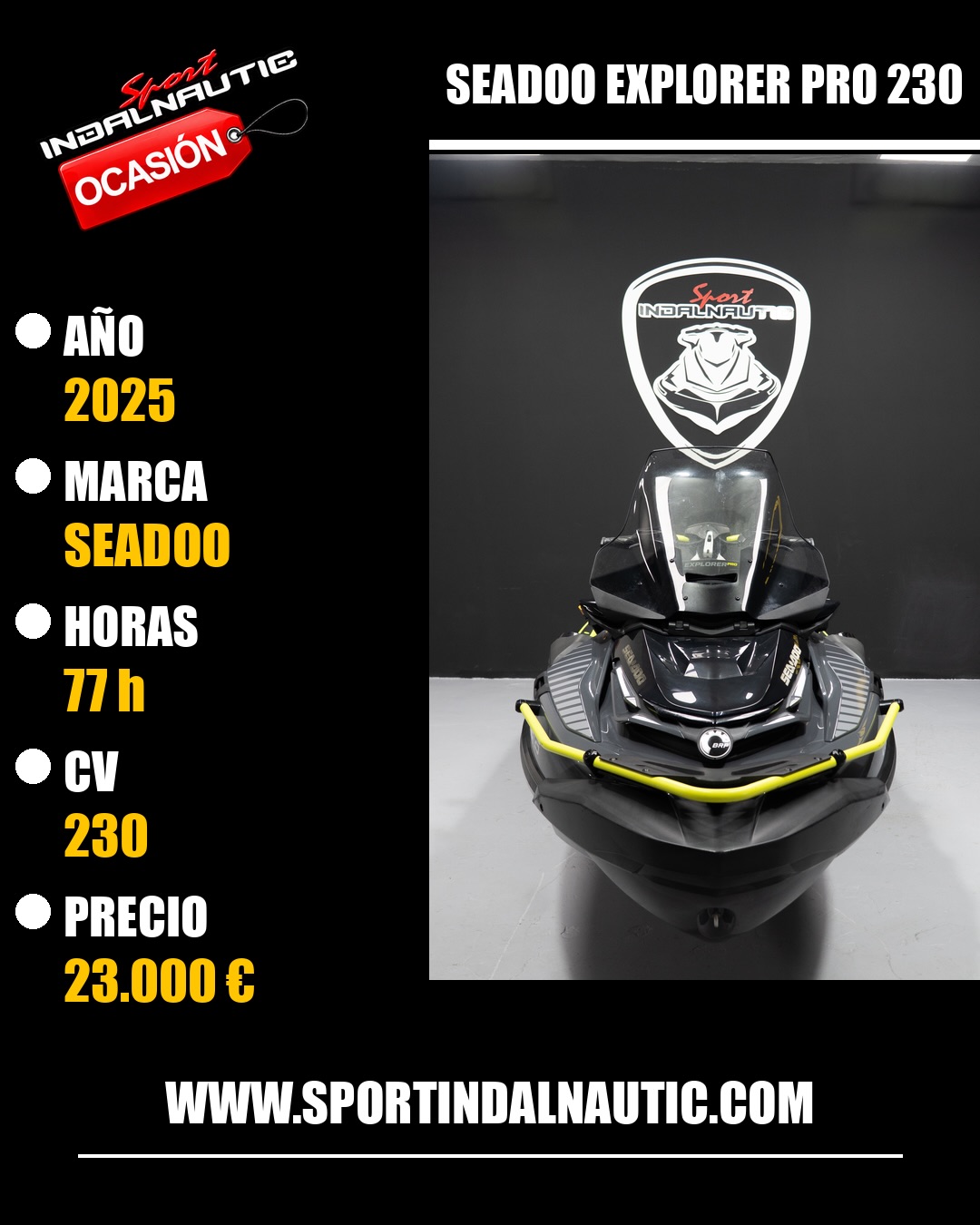 Sea-Doo Explorer Pro 230